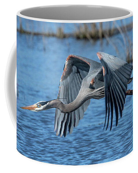Nature Coffee Mug featuring the photograph Great Blue Heron in Flight DMSB0151 by Gerry Gantt