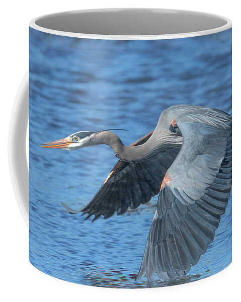 Nature Coffee Mug featuring the photograph Great Blue Heron in Flight DMSB0153 by Gerry Gantt