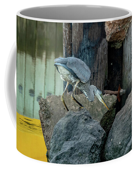 Birds Coffee Mug featuring the photograph Great Blue Heron is on the Case by Marcy Wielfaert