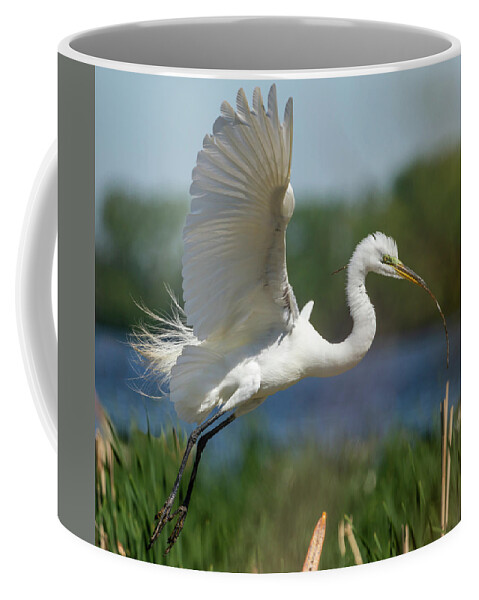 Great Egret Coffee Mug featuring the photograph Great Egret 2014-1 by Thomas Young