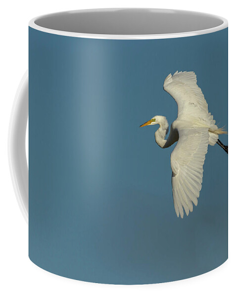 Great Egret Coffee Mug featuring the photograph Great Egret 2014-9 by Thomas Young