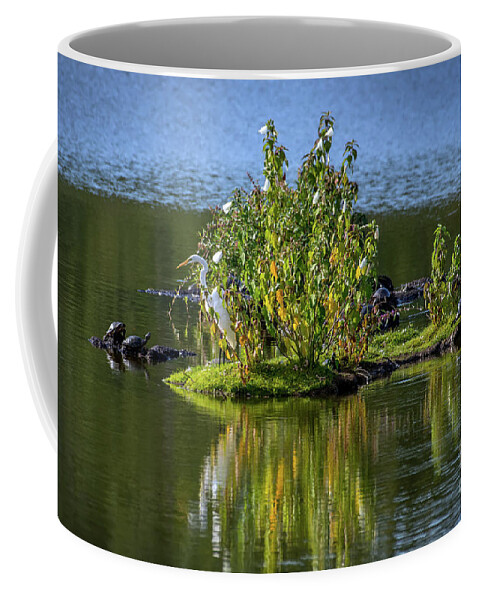 Great Egret Coffee Mug featuring the photograph Great Egret Fishing from a small Island with Turtles on the Chesapeake Bay by Patrick Wolf