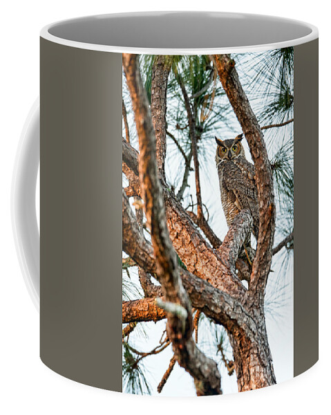 David Eppley Coffee Mug featuring the photograph Great Horned Owl by David Eppley