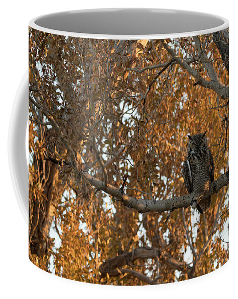 Wyoming Coffee Mug featuring the photograph Great Horned Owl in Autumn Sunrise by Patrick Nowotny