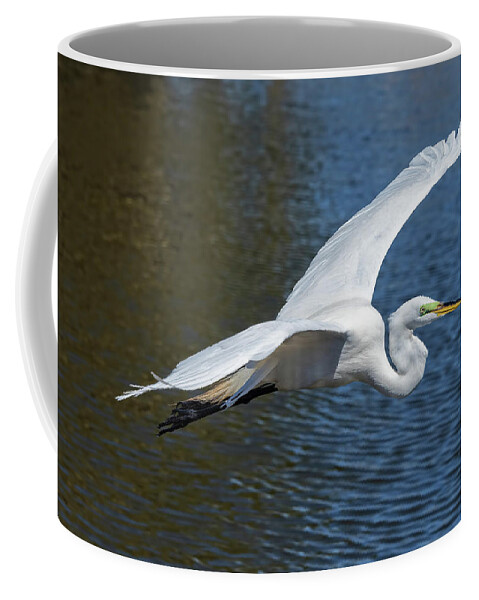 Egret Coffee Mug featuring the photograph Great White Egret In Flight by Jim Vallee