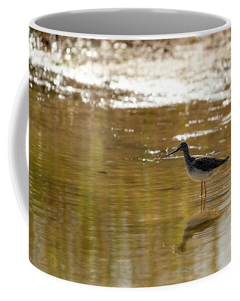 Greater Yellowlegs Coffee Mug featuring the photograph Greater yellowlegs shorebird by Sam Rino