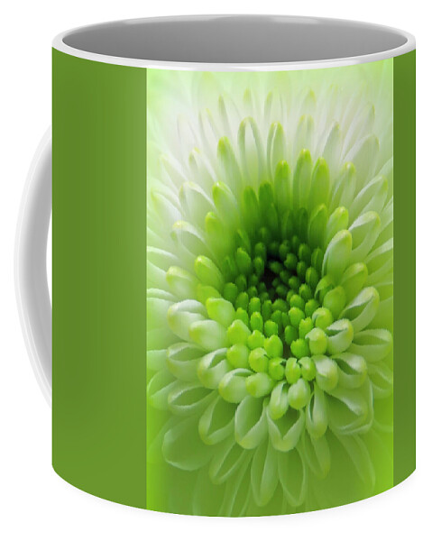 Flower Coffee Mug featuring the photograph Green Beauty Opening Up by Johanna Hurmerinta