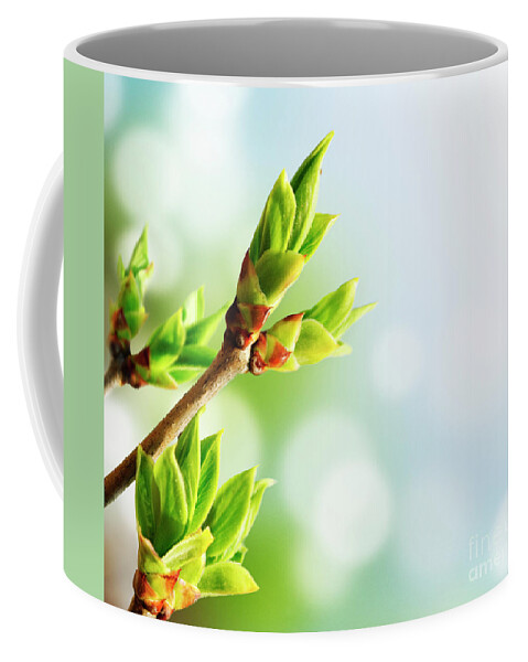 April Coffee Mug featuring the photograph Green Bud by Jelena Jovanovic