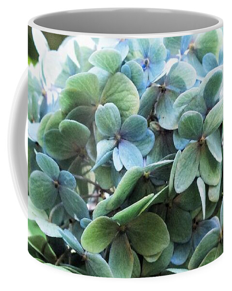 Green Hydrangea Coffee Mug featuring the photograph Green Hydrangea by Mary Ann Artz