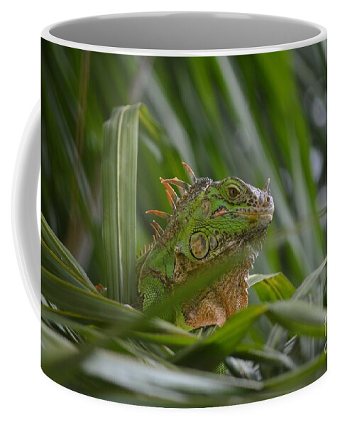 Animal Coffee Mug featuring the photograph Green Iguana Enjoying Life by Aicy Karbstein