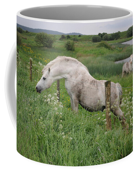 Welsh Pony Coffee Mug featuring the photograph Greener Grass by Jack Harries