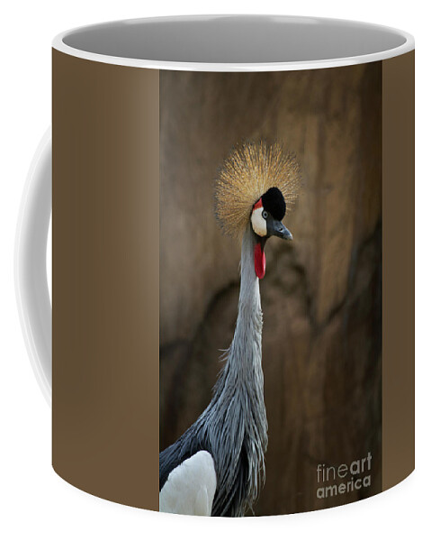 Birder Coffee Mug featuring the photograph Grey Crowned Crane Portrait by Ruth Jolly