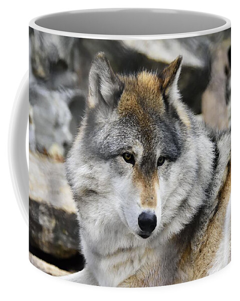 Photography Coffee Mug featuring the photograph Grey Wolf by Larry Ricker