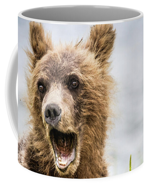 Grizzly Coffee Mug featuring the photograph Grizzly cubs looking for their mum by Lyl Dil Creations