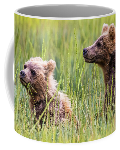 Grizzly Coffee Mug featuring the photograph Grizzly cubs by Lyl Dil Creations