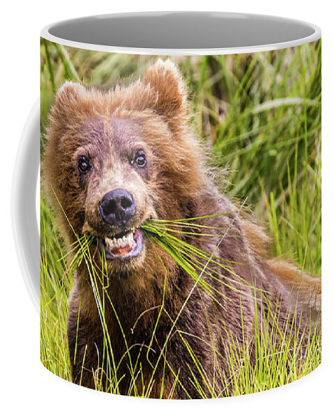 Bear Coffee Mug featuring the photograph Grizzly cub grazing, Alaska by Lyl Dil Creations