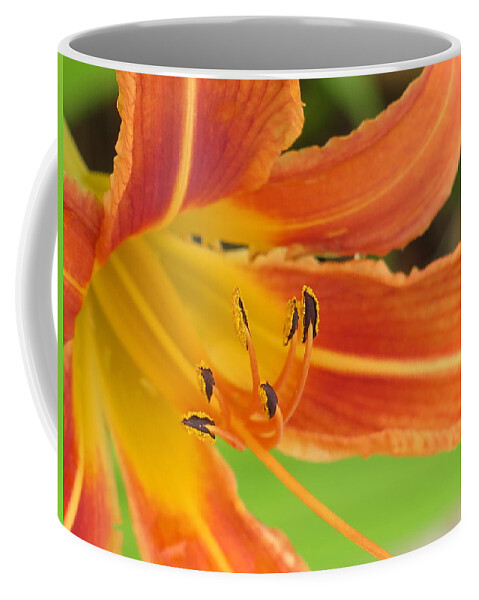 Day Lily Coffee Mug featuring the photograph Guardian Serpents by David Coblitz