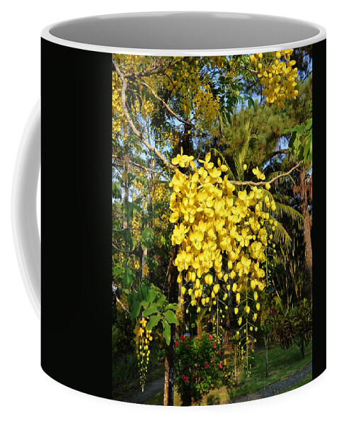 Fine Art Coffee Mug featuring the photograph Guatemalan Blossoms by Amelia Racca