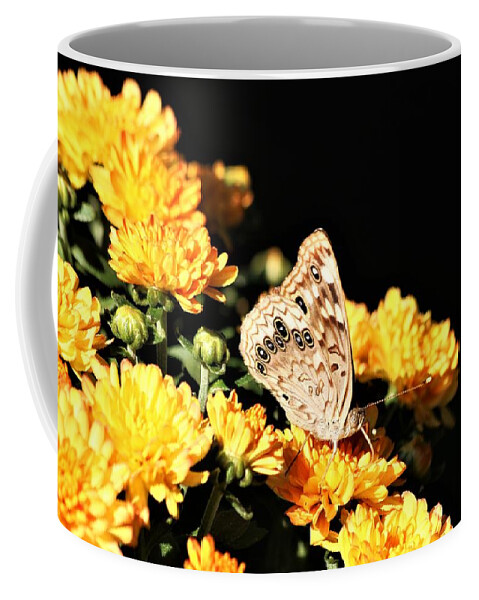 Nature Coffee Mug featuring the photograph Hackberry Emperor on Gold by Sheila Brown