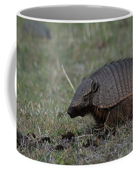 Hairy Coffee Mug featuring the photograph Hairy Armadillo by Patrick Nowotny
