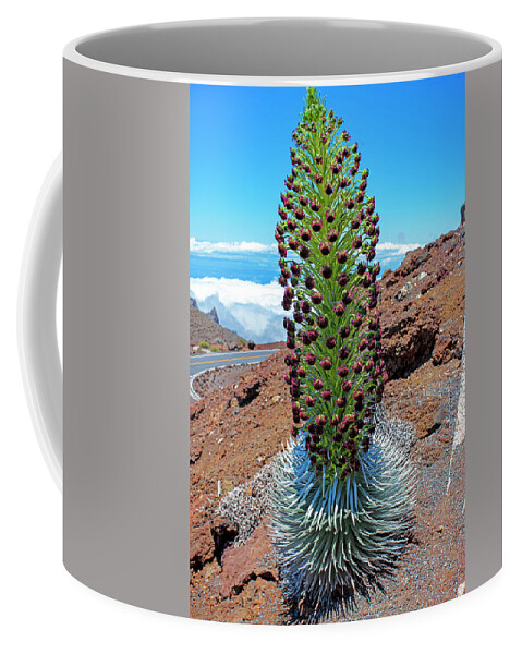 Silversword Coffee Mug featuring the photograph Haleakala Ahinahina Silversword by Anthony Jones