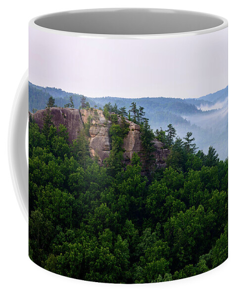 Chimney Top Rock Coffee Mug featuring the photograph Half Moon by Michael Scott