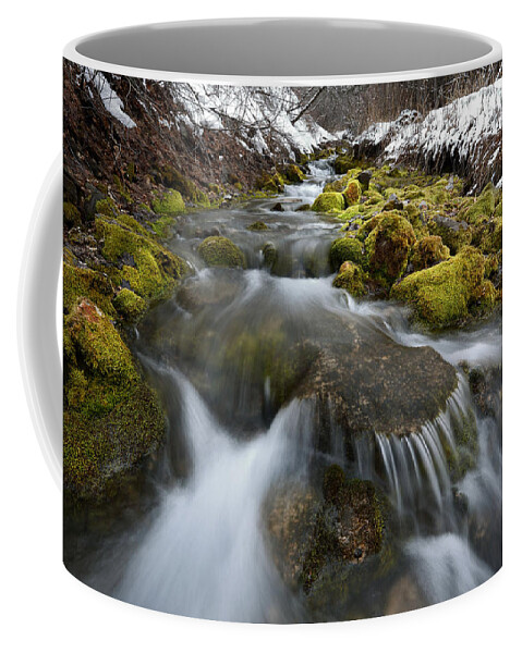 Creek Coffee Mug featuring the photograph Hallow Hollow by David Andersen