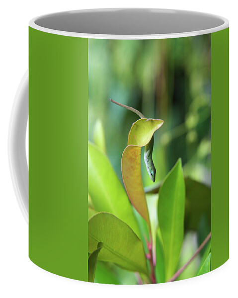Hawaii Coffee Mug featuring the photograph Hang in there by Ivan Franklin