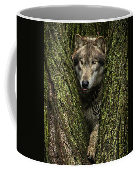 Wolf Wolves Coffee Mug featuring the photograph Hangin in the Tree by Laura Hedien