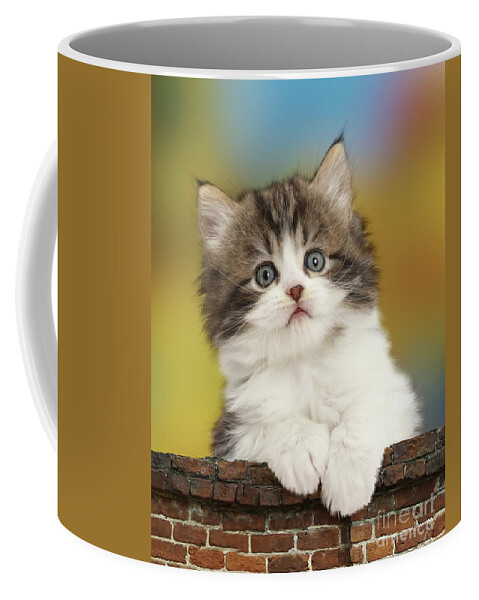 Fluffy Coffee Mug featuring the photograph Hanging over the garden wall by Warren Photographic