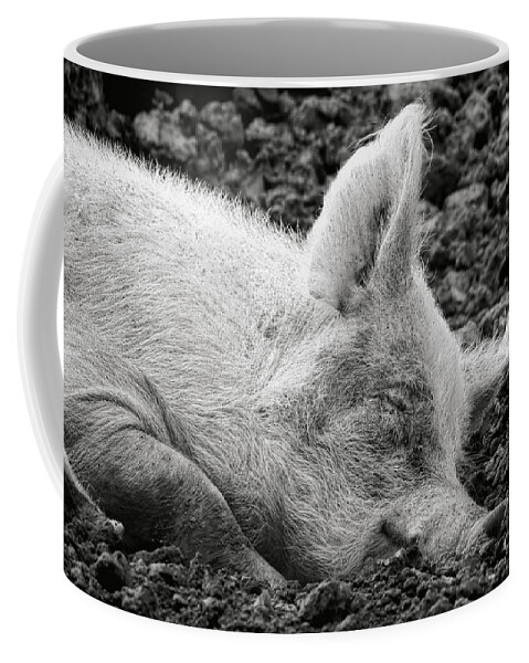 Pig Coffee Mug featuring the photograph Happiness by Olivier Le Queinec