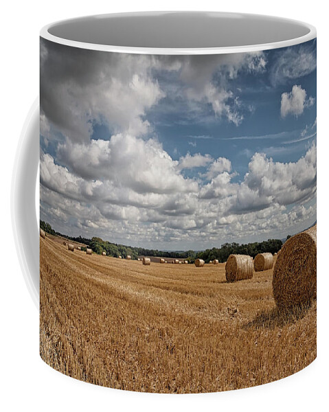Bale Coffee Mug featuring the photograph Harvest time by Shirley Mitchell