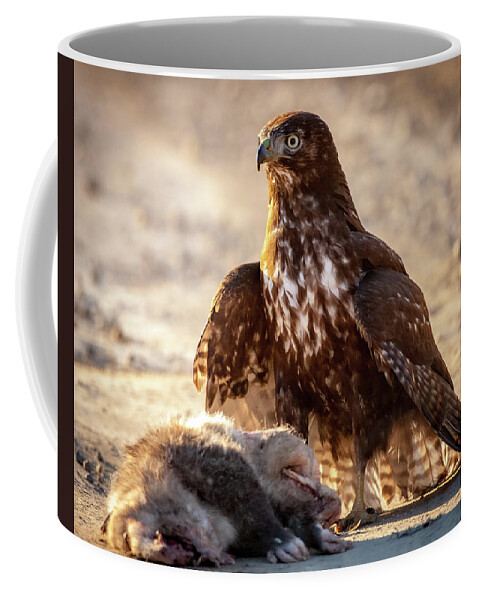 Coopers Hawk Coffee Mug featuring the photograph Hawk and Opossum by Jeff Phillippi