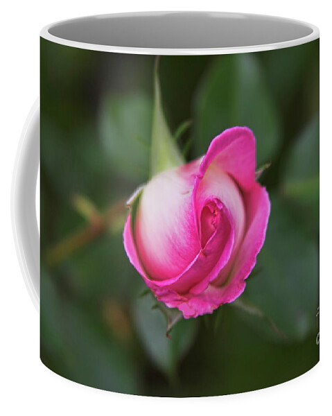 Rose Coffee Mug featuring the photograph Heart of a Rose by Joan Bertucci