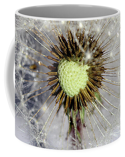 Heart Shape Coffee Mug featuring the photograph Heart of the dandelion by Martin Smith