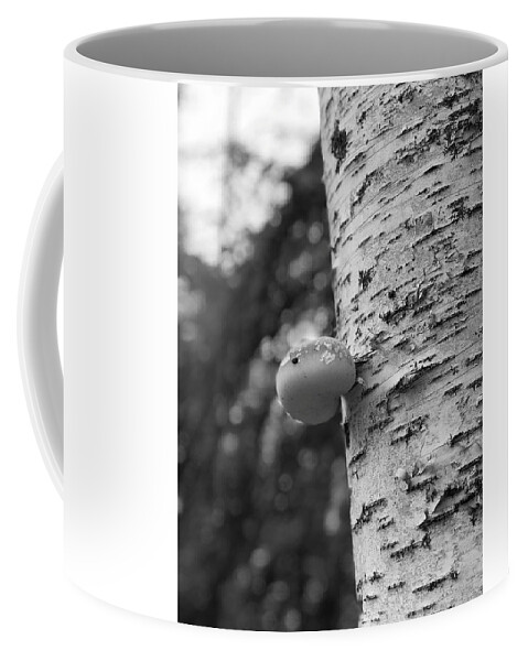 Birch Tree Coffee Mug featuring the photograph Heart on a Tree by Tom Johnson