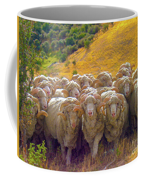 Sheep Coffee Mug featuring the photograph Herding Merino Sheep by Leslie Struxness