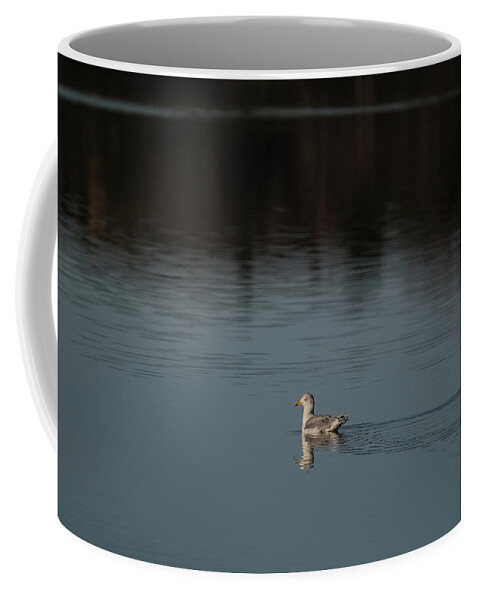 Sweden Coffee Mug featuring the pyrography Herring gull by Magnus Haellquist