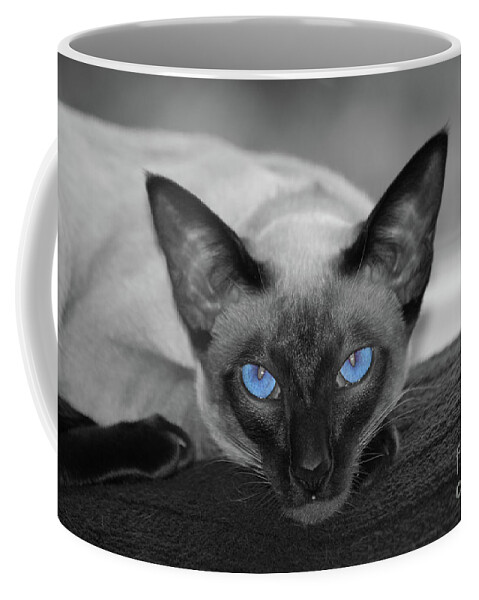 Siamese Coffee Mug featuring the photograph Hey There Blue Eyes - Siamese Cat by Flippin Sweet Gear