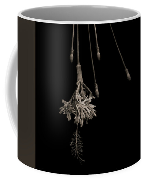 Hibiscus Coffee Mug featuring the photograph Japanese Hibiscus by Alessandra RC