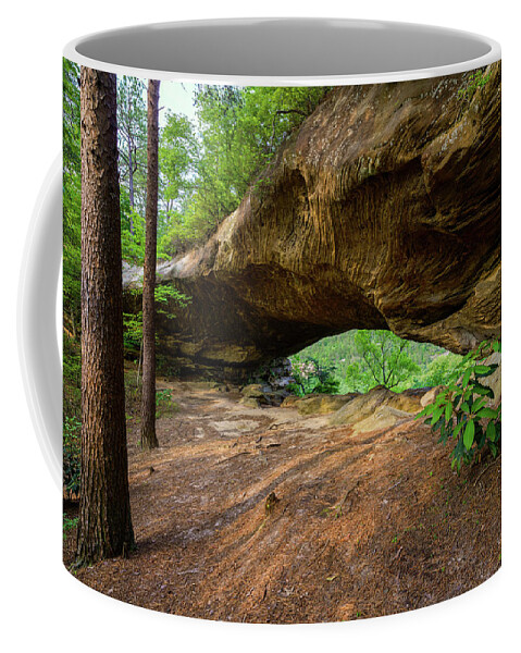 Double Arch Coffee Mug featuring the photograph Hidden in Time by Michael Scott