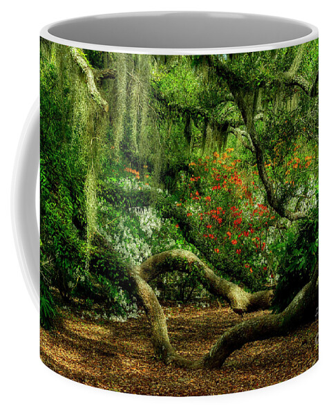 Scenic Coffee Mug featuring the photograph Hidden Under The Old Oak Tree by Kathy Baccari