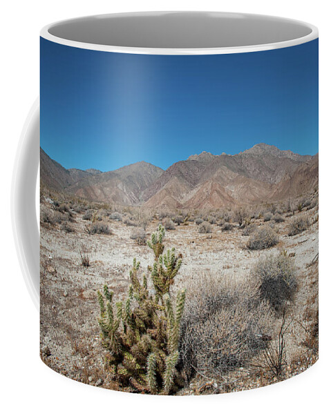 Anza-borrego Desert State Park Coffee Mug featuring the photograph High Desert Cactus by Mark Duehmig