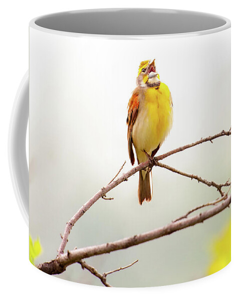 Nature Coffee Mug featuring the photograph High Key Dickcissel by Jeff Phillippi