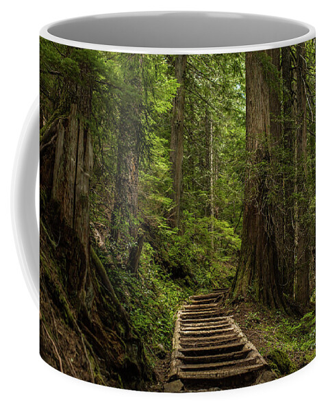 Hiking Trail Coffee Mug featuring the photograph Hiking in Mt. Rainier, Washington by Julieta Belmont