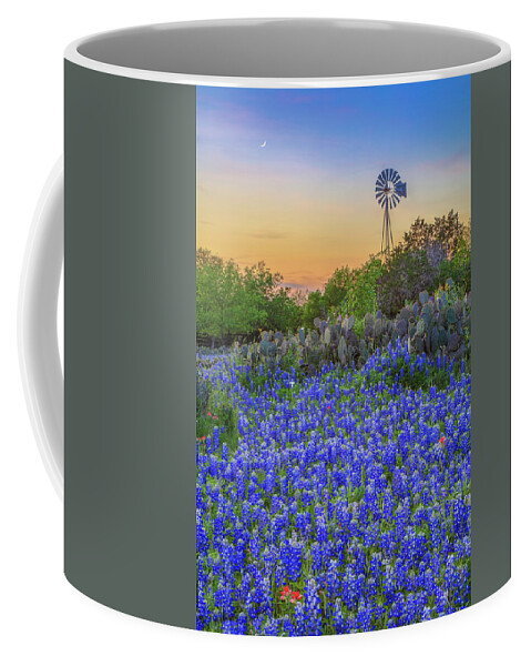 Bluebonnets Coffee Mug featuring the photograph Hill Country Bluebonnet Evening 4081 by Rob Greebon