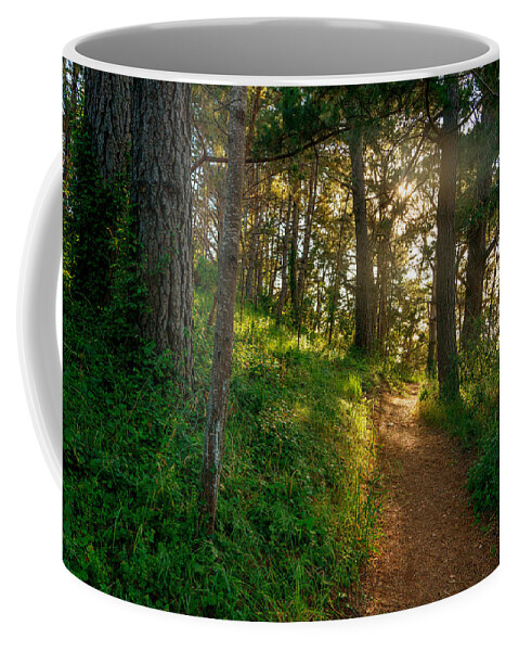 Hillside Path Coffee Mug featuring the photograph Hillside Path by Derek Dean
