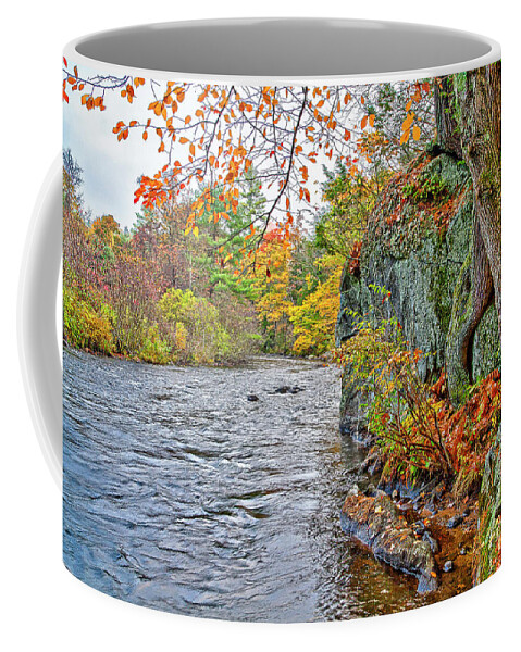 Farmington River Coffee Mug featuring the photograph Hogback Dam Pool by Tom Cameron