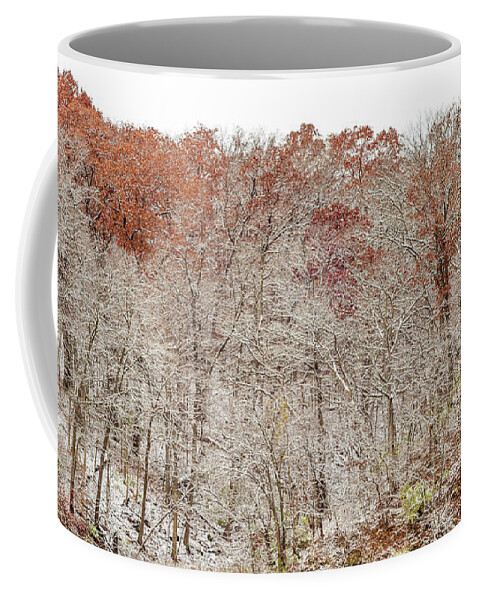 Trees Coffee Mug featuring the photograph Holding Onto Fall by Tamara Becker