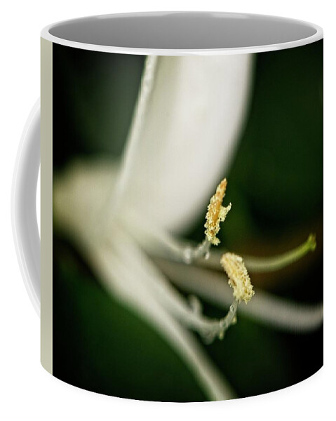 Nature Coffee Mug featuring the photograph Honeysuckle by John Benedict